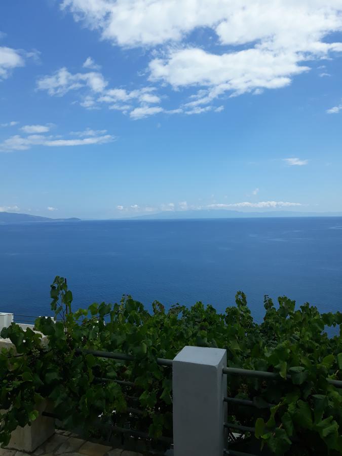 Gasthof Blue View
