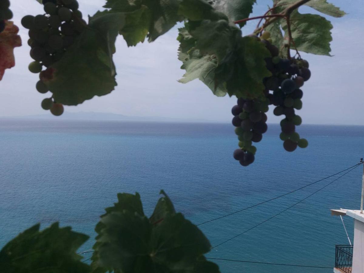 Blue View