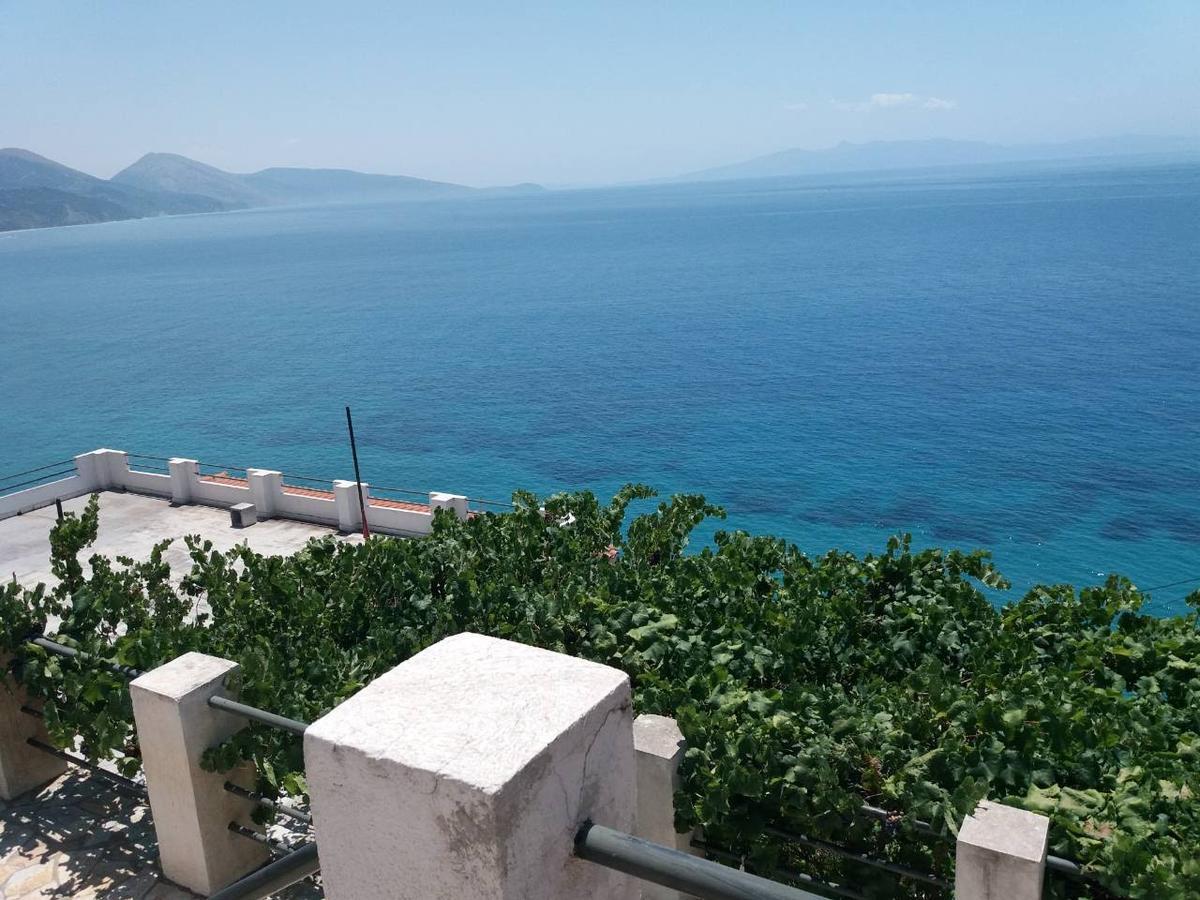 Blue View